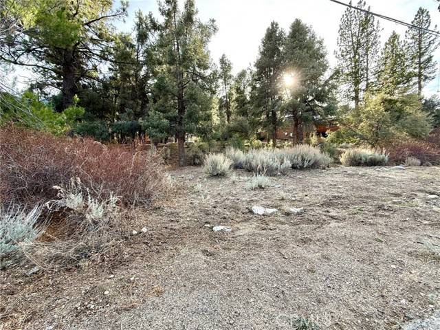 Pine Mountain Club, CA 93222,15500 Mil Potrero Hwy