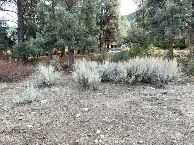 Pine Mountain Club, CA 93222,15500 Mil Potrero Hwy