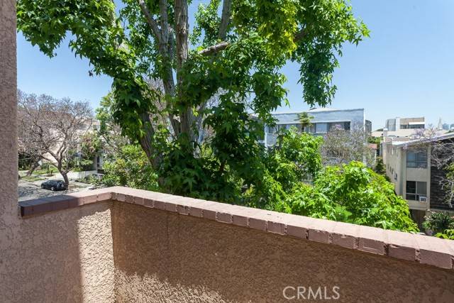 Los Angeles, CA 90025,1639 Camden Avenue #301