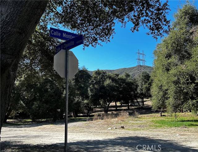 Green Valley, CA 91390,0 Calle El Clavelito/3227016011