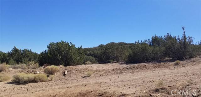 Palmdale, CA 93551,0 Desert Springs AV FW