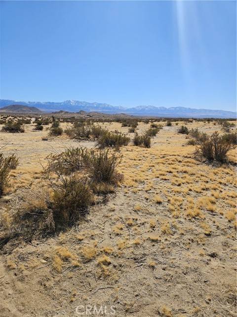 Palmdale, CA 93591,0 225th