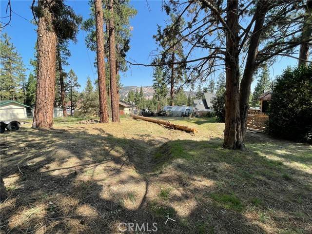 Big Bear City, CA 92314,725 Irving