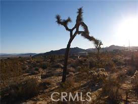 Joshua Tree, CA 92252,7275 Saddleback