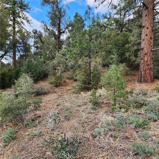 Pine Mountain Club, CA 93222,1808 Matterhorn