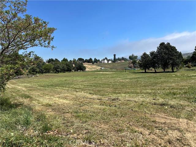 Leona Valley, CA 93551,0 87th