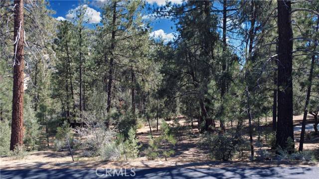 Pine Mountain Club, CA 93222,2530 Brentwood Place