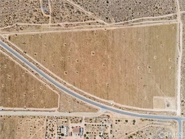 Palmdale, CA 93550,87 E COR 87TH STE FT TEJON AV