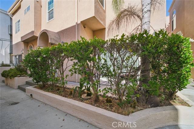 Toluca Lake, CA 91602,10659 Bloomfield Street