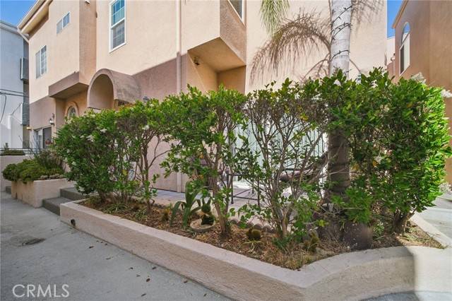 Toluca Lake, CA 91602,10659 Bloomfield Street