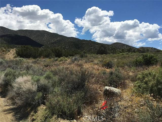 Littlerock, CA 93543,0 Tenterdon