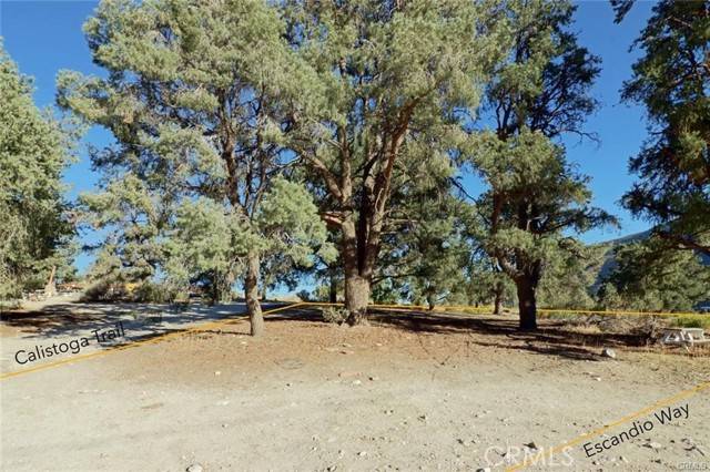 Frazier Park, CA 93225,0 Calistoga