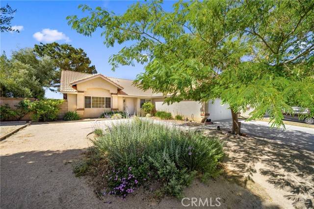 Rosamond, CA 93560,2908 Owens Way
