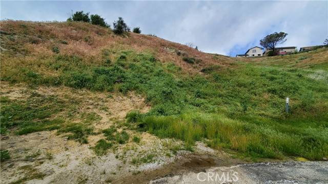 Lake Elizabeth, CA 93532,0 Cutwood Rd