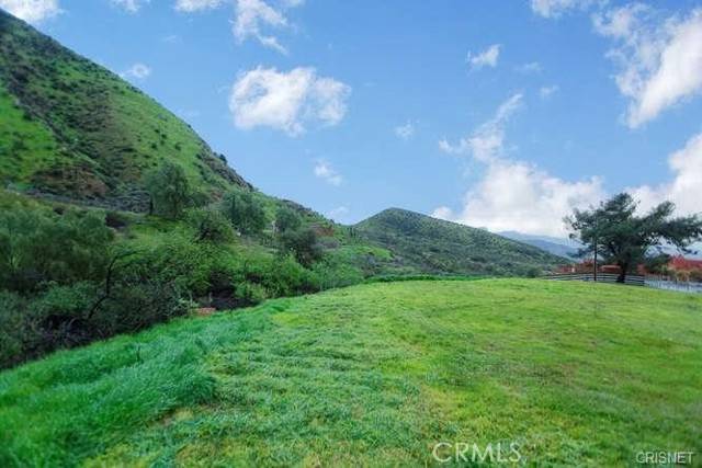 Kagel Canyon, CA 91342,13912 N Mesa Alta