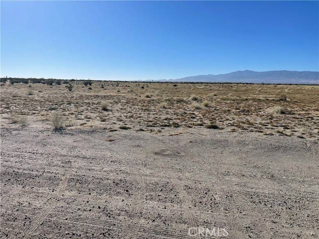 El Mirage, CA 92301,0 White