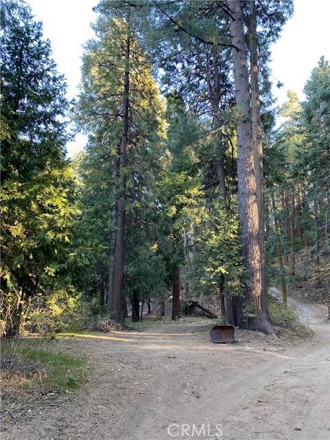 Cedarpines Park, CA 92322,0 Ballenger