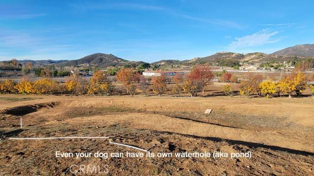 Murrieta, CA 92562,19608 Avenida de Felicidad