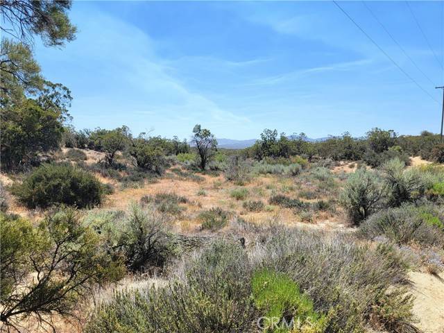 Anza, CA 92539,46 Springs Trail