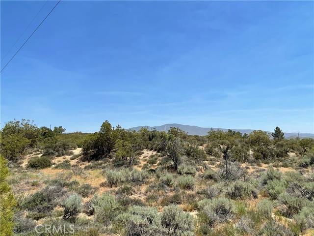 Anza, CA 92539,46 Springs Trail