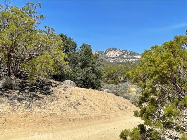 Anza, CA 92539,46 Springs Trail