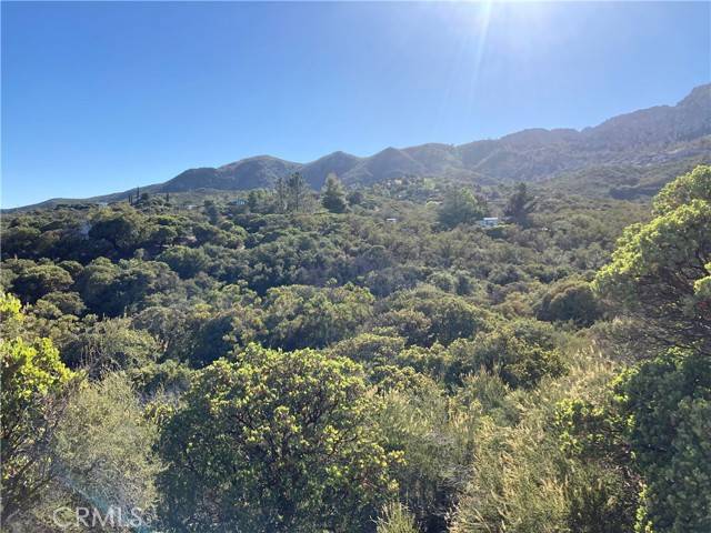 Anza, CA 92539,38111 Manzanita Mountain