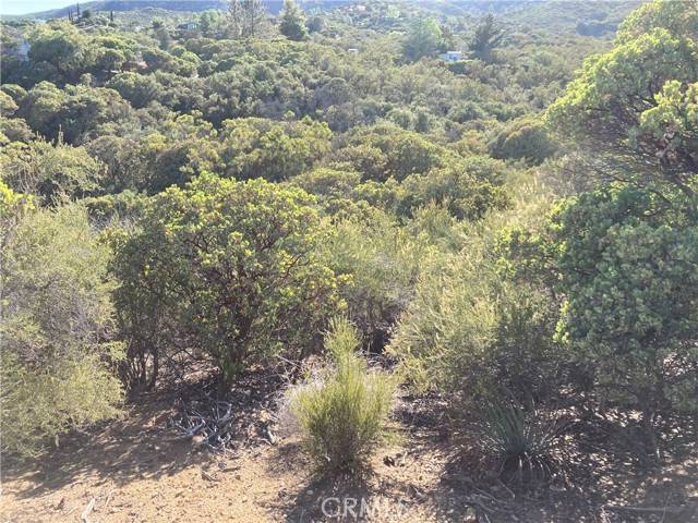 Anza, CA 92539,38111 Manzanita Mountain