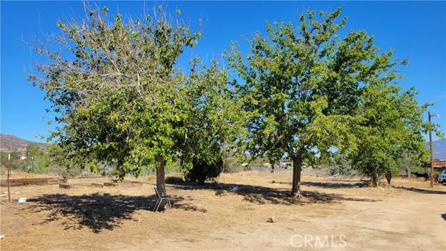 Anza, CA 92539,44375 Terwilliger Road