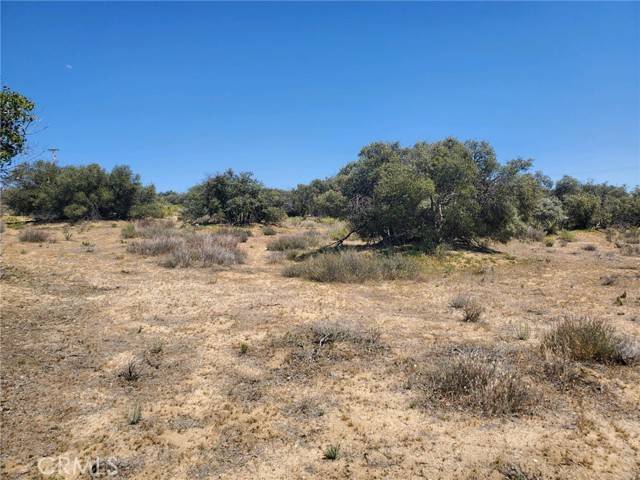 Anza, CA 92536,1 Coyote Canyon