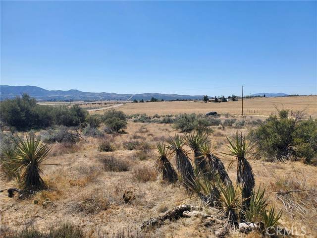 Anza, CA 92536,1 Coyote Canyon