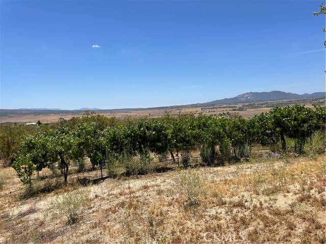 Anza, CA 92539,58735 Meyers Lane