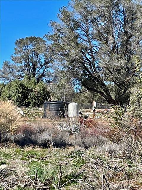 Anza, CA 92539,57850 Forestry