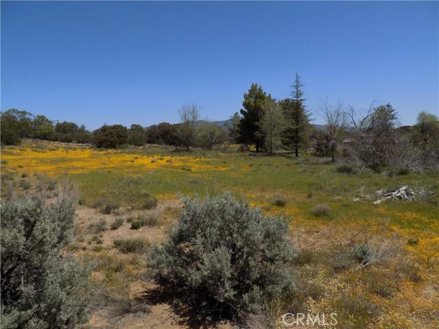 Anza, CA 92539,37920 Tripp Flats