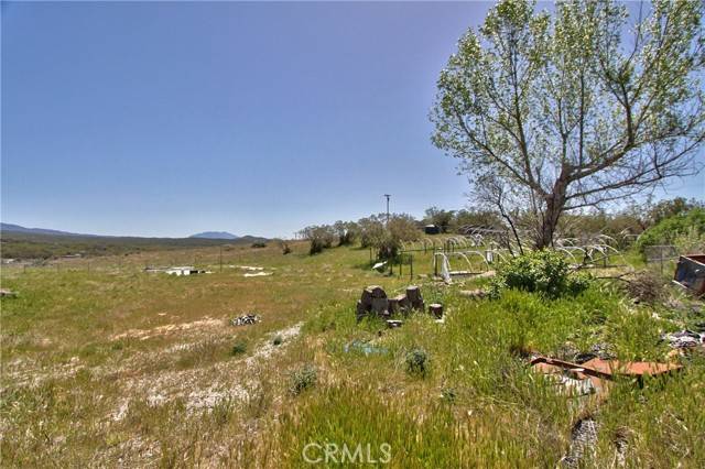 Anza, CA 92539,37650 Tripp Flats Road