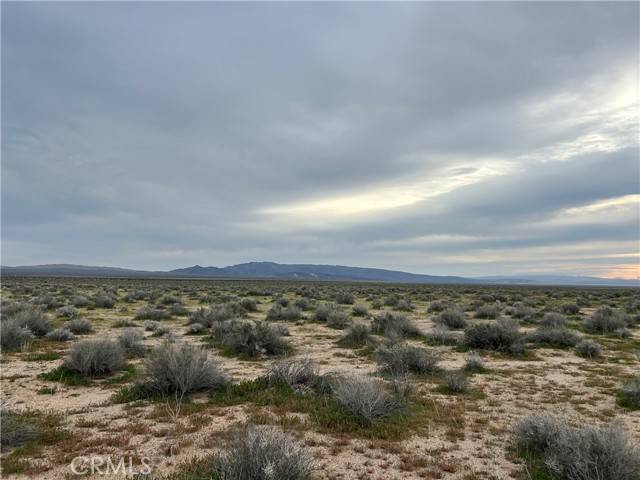 Hinkley, CA 92347,0 0