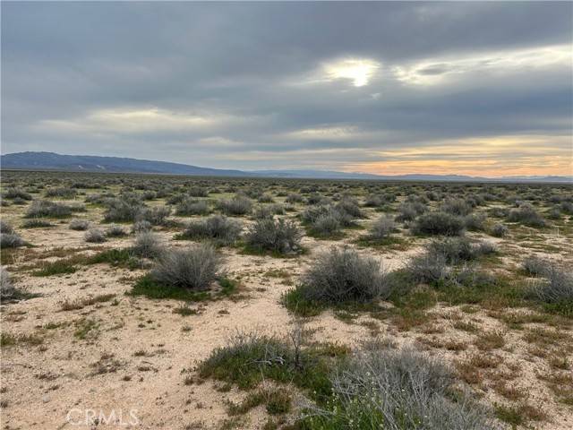 Hinkley, CA 92347,0 0