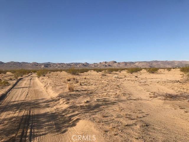 Yucca Valley, CA 92284,57372 Lupine