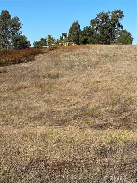 Winchester, CA 92596,48 Mazoe
