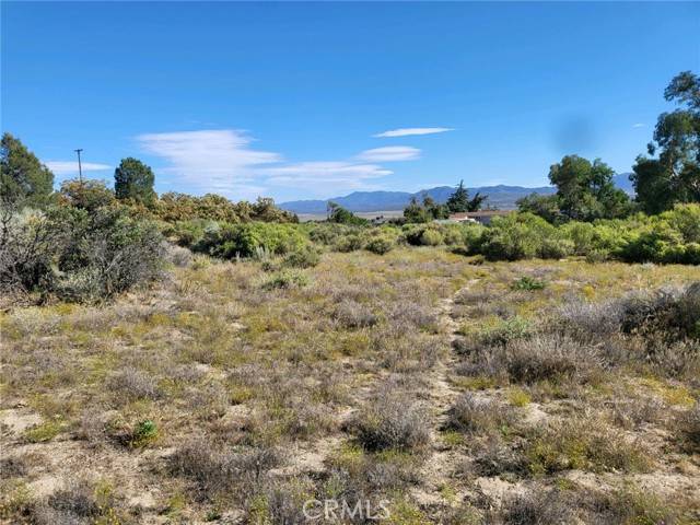 Anza, CA 92539,19 Old Forest