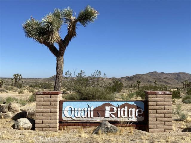 Joshua Tree, CA 92252,60187 Chesapeake Drive