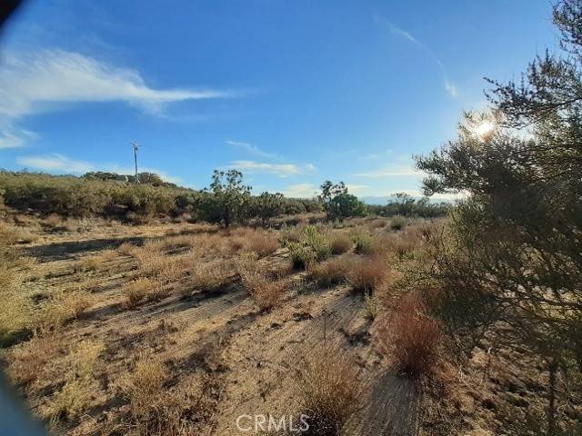 Aguanga, CA 92536,0 Lake Canyon