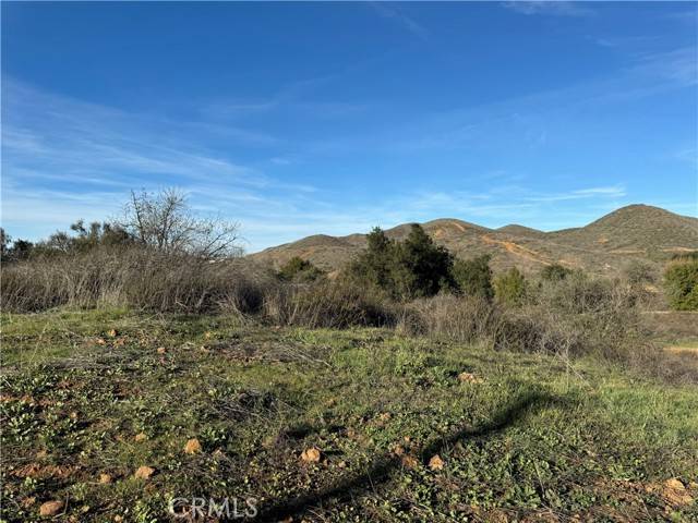 Menifee, CA 92584,15 Orange