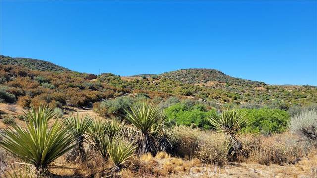 Anza, CA 92539,62958 Table Mountain Truck