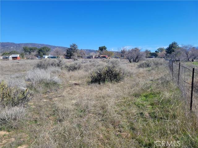 Anza, CA 92539,0 Shamrock