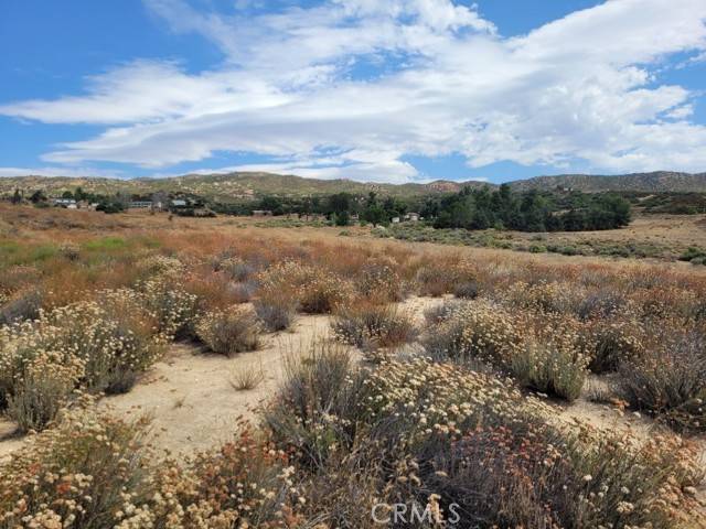 Anza, CA 92539,0 Tamatea