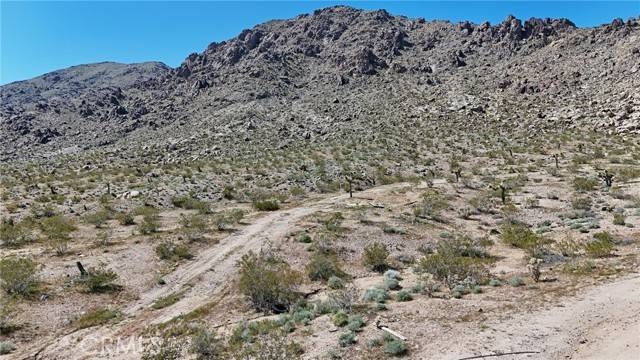 Lucerne Valley, CA 92356,120 Corralejo