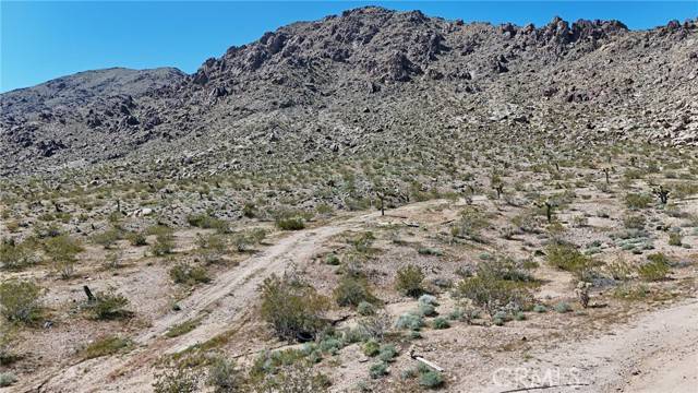 Lucerne Valley, CA 92356,122 Corralejo