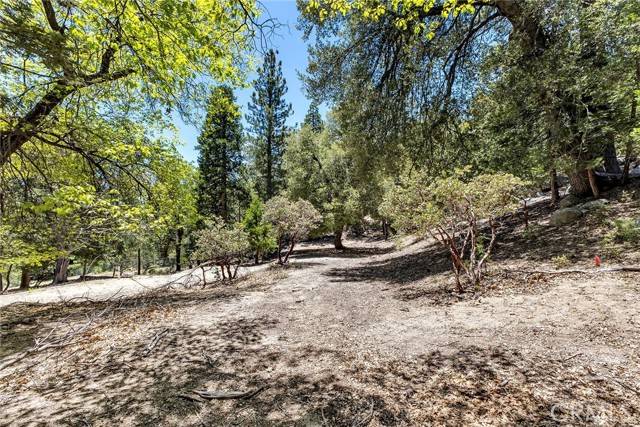 Idyllwild, CA 92549,0 Azalea