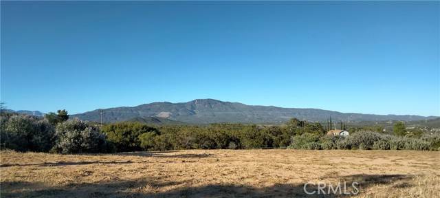 Anza, CA 92539,38111 Manzanita Mountain