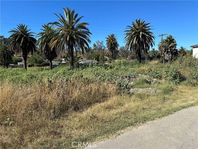 Lake Elsinore, CA 92530,0 McBride Ave